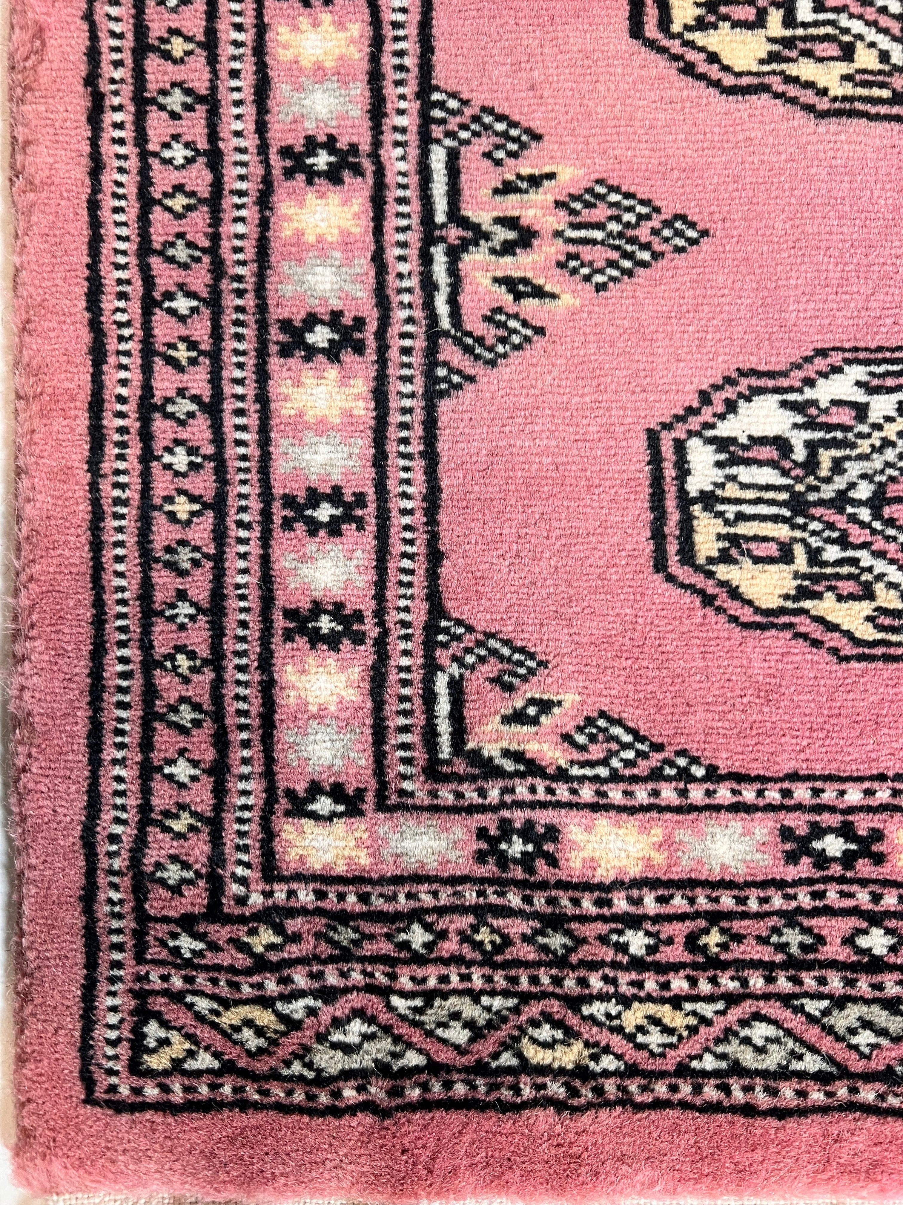 Chesterfield Rose VII